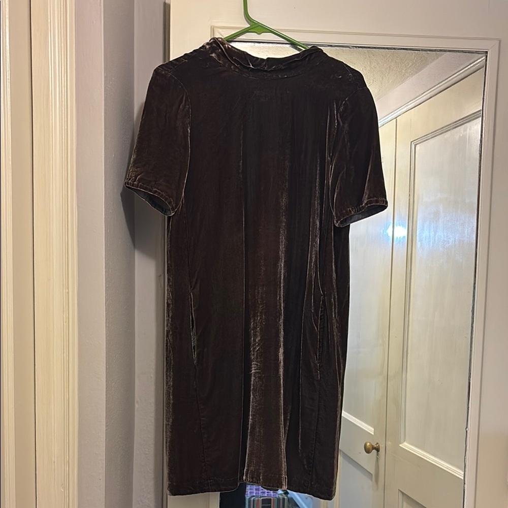 Eileen Fisher Mink velvet dress